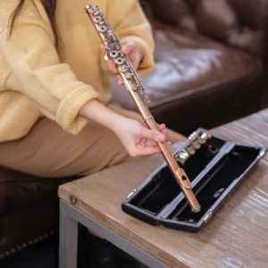 Musician Template Gallery Img B 4 300x300 1